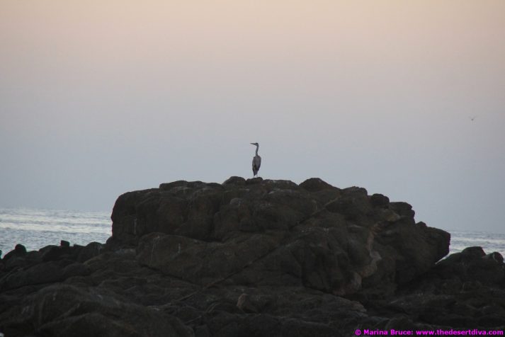 fishermansbeacht00007