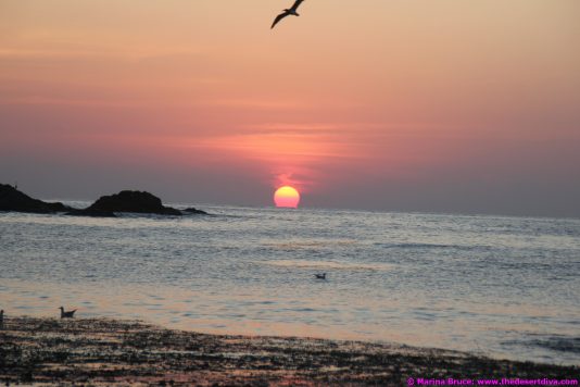 fishermansbeacht00012