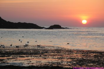 fishermansbeacht00014