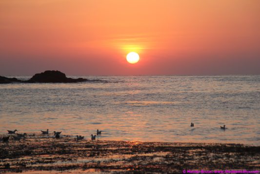 fishermansbeacht00015