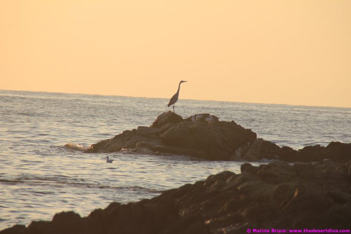 fishermansbeacht00016