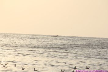 fishermansbeacht00022
