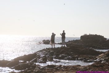 fishermansbeacht00026