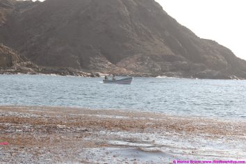 fishermansbeacht00027