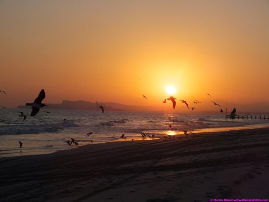 oman sunrise sunset00006