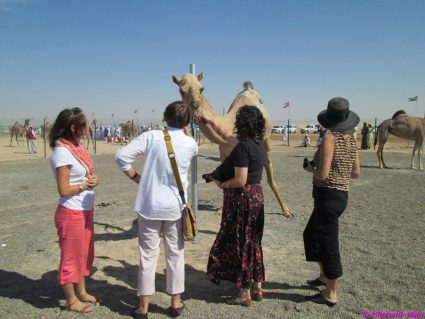 camel festival filomena02