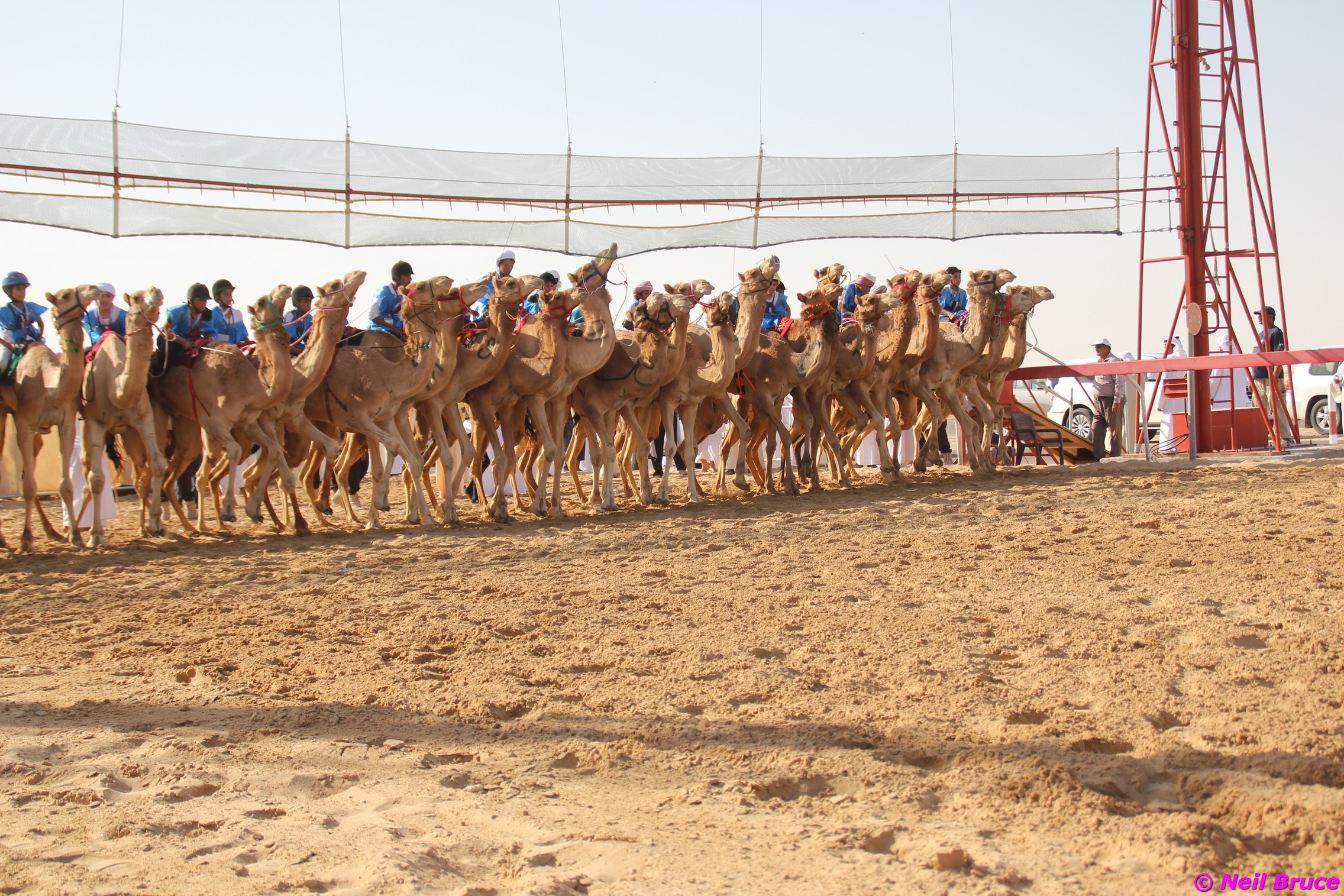 Sweihan Camel Festival Revisited – Twice