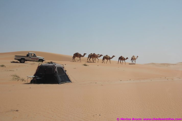 Early Morning Liwa