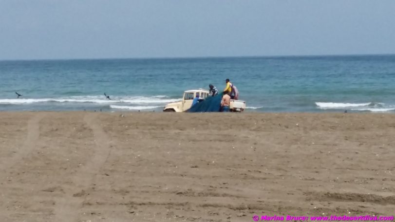 seaside12