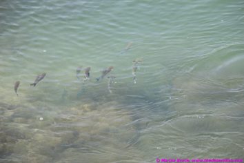 seaside5