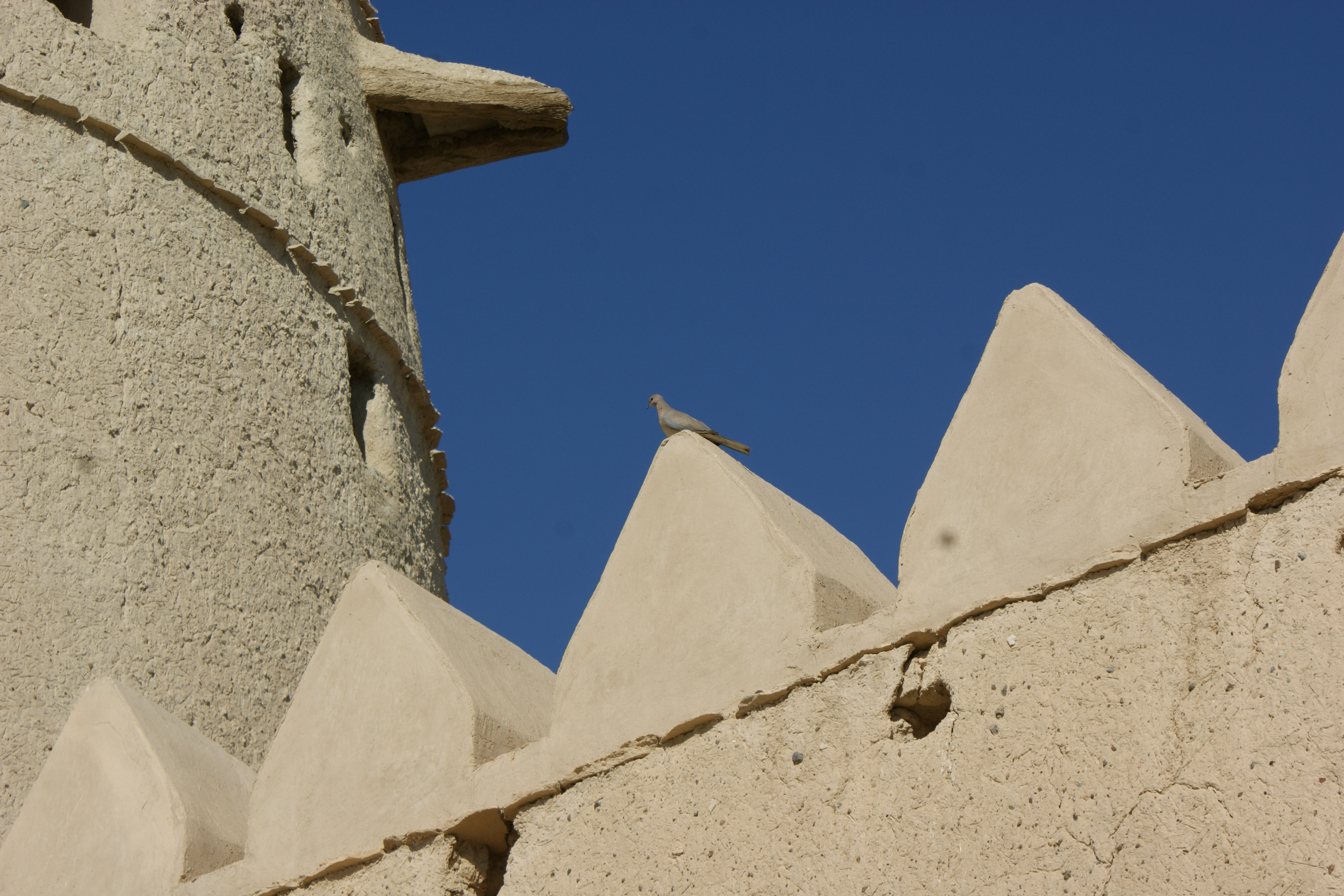 World Heritage Day 2015 – Al Ain Event