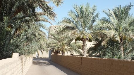 oasis02