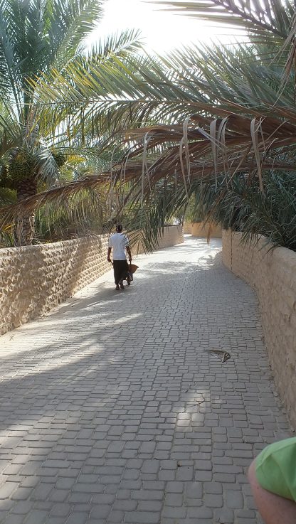 oasis07