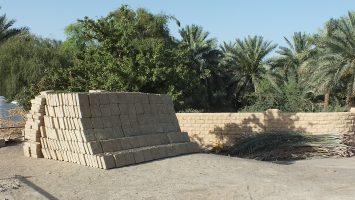 oasis08