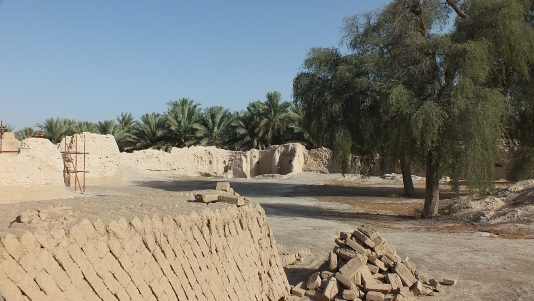 oasis12