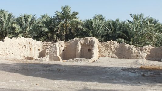 oasis13