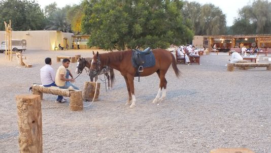 quattarasouq01