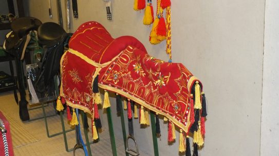 quattarasouq25
