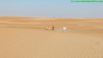 DSCF5570