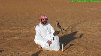 DSCF5591