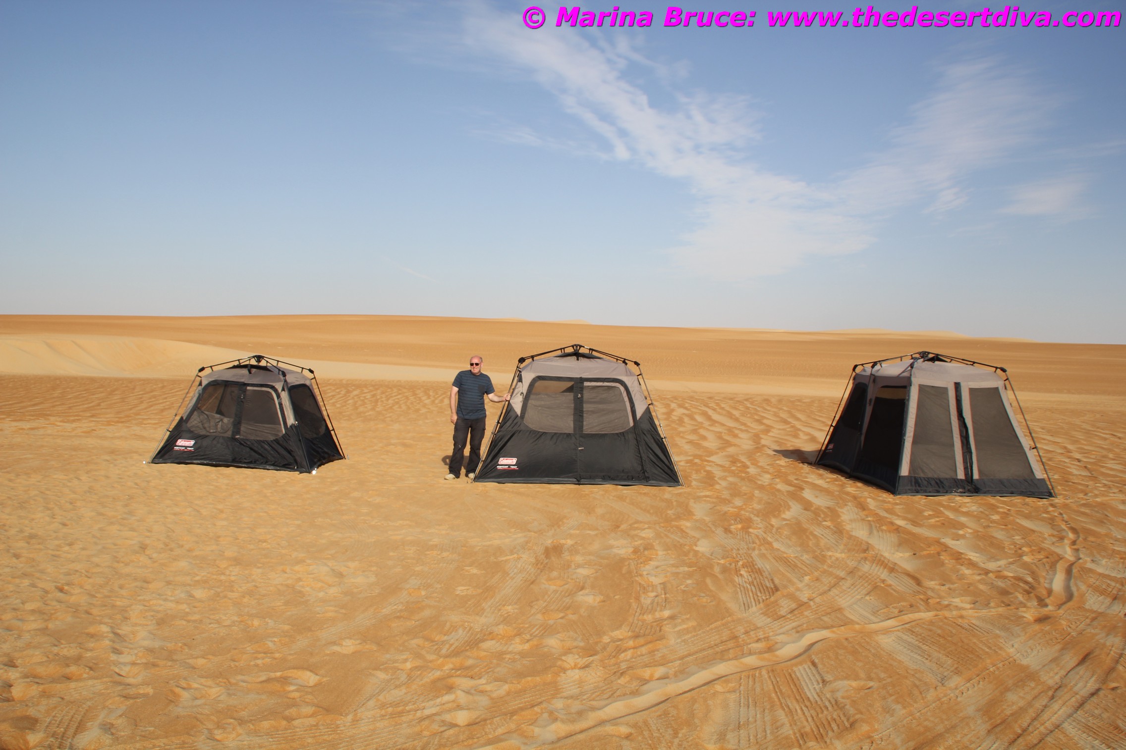 Review: Coleman Instant Tents