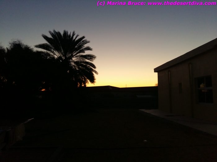 madinatzayed4