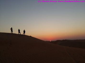 madinatzayed5