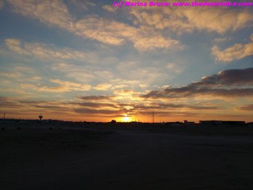 madinatzayed8