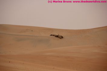 IMG_7029