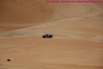IMG_7182