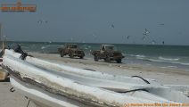 omanscout241