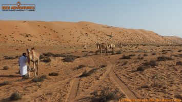 omanscout261