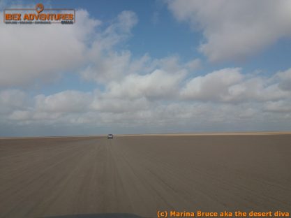 omanscout311