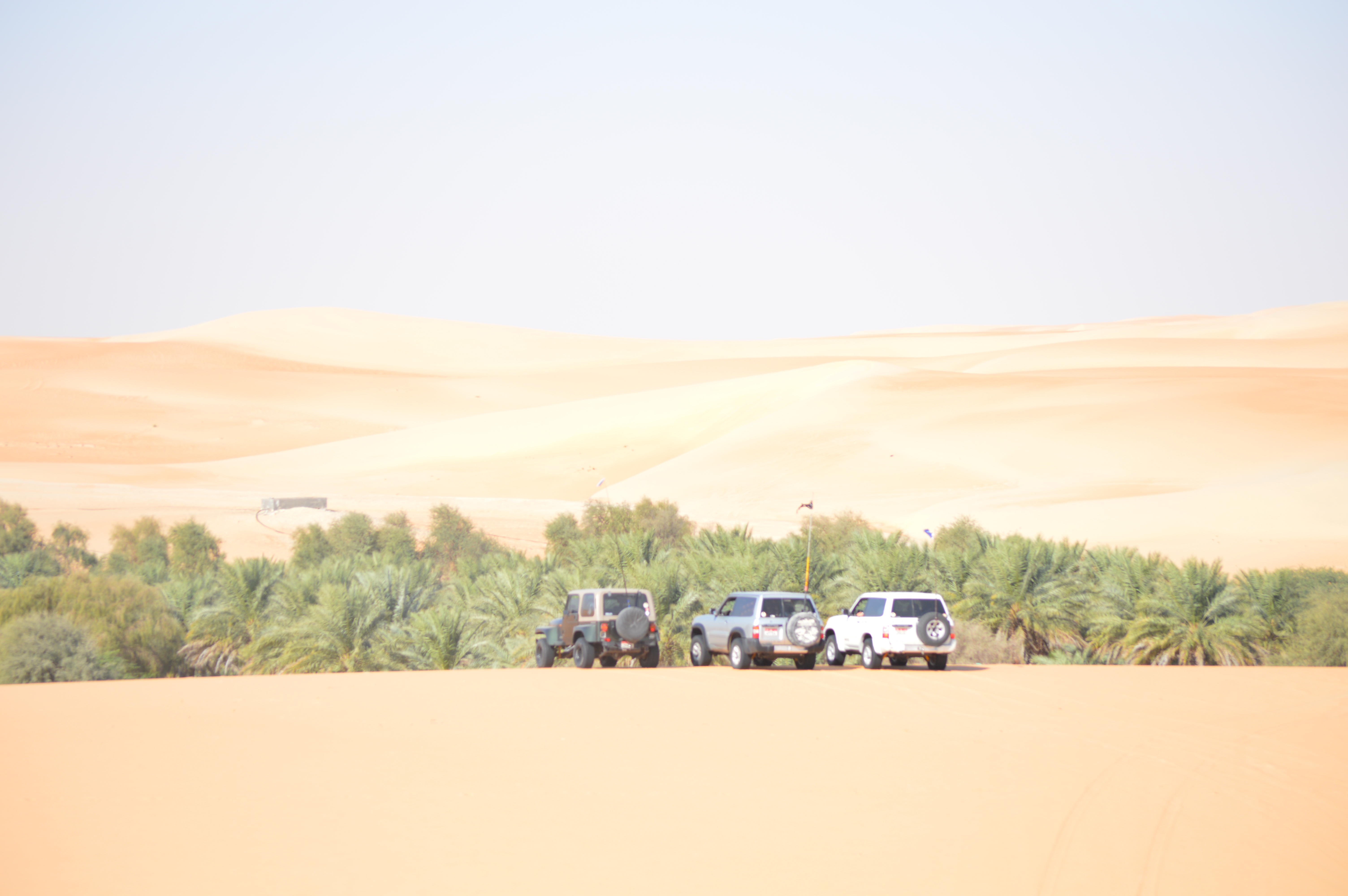 Journey to the South Western Corner of The UAE