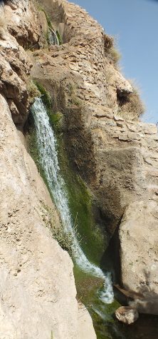 DSCF8053a