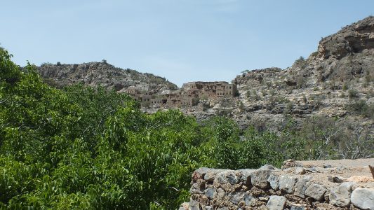 DSCF8104