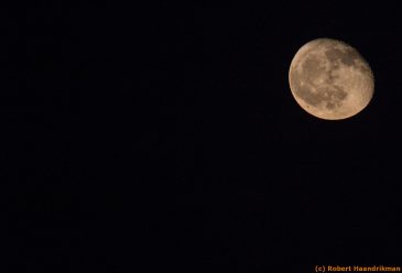 IMG_0818