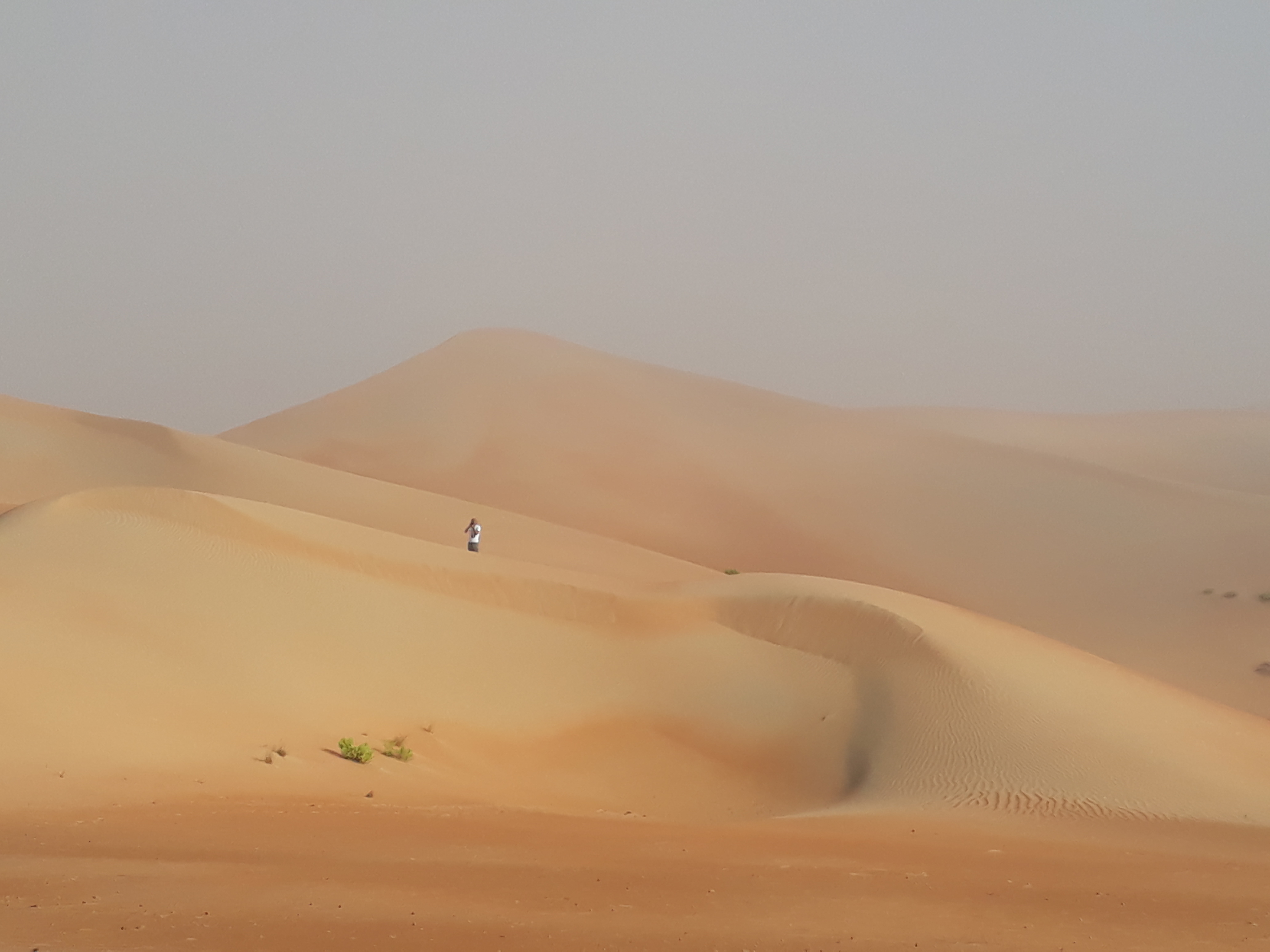 !!Abu Dhabi Desert: A Very Special Trip: Report