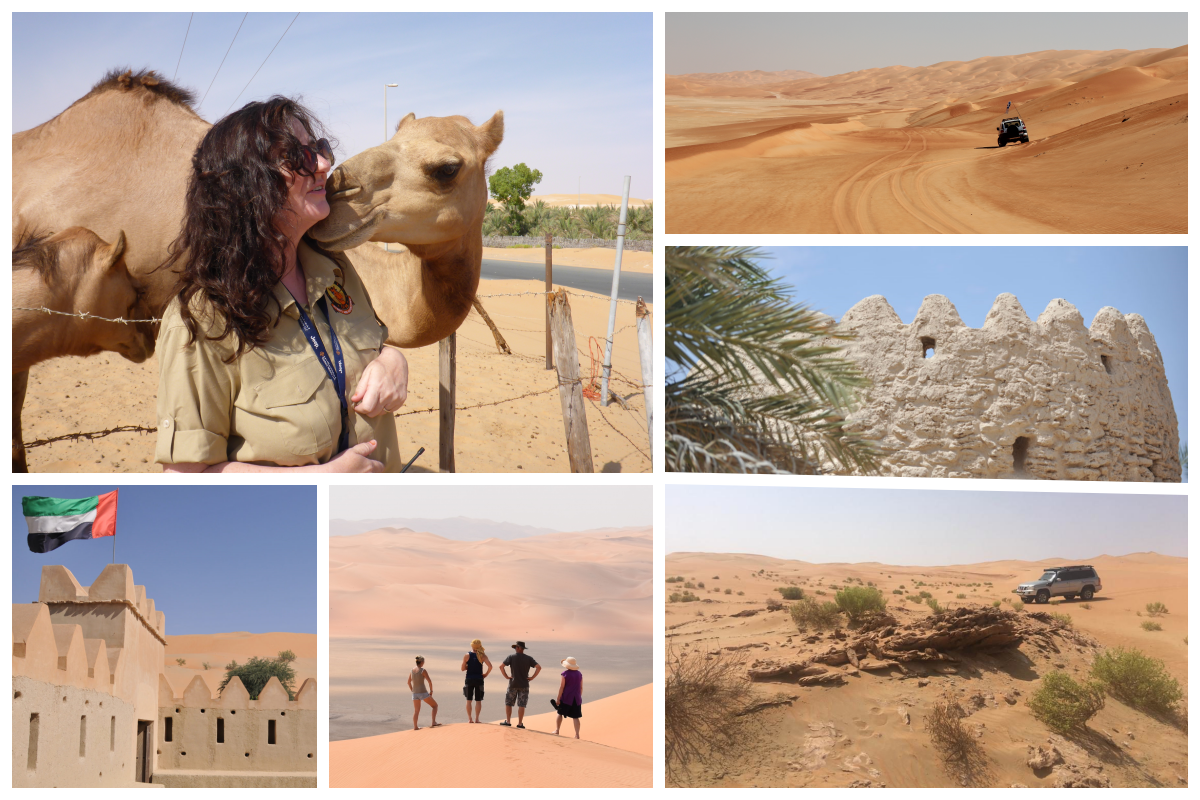 The Hidden Treasures of Liwa 2021 edition: 3 hour, 6 hour, or overnight tour