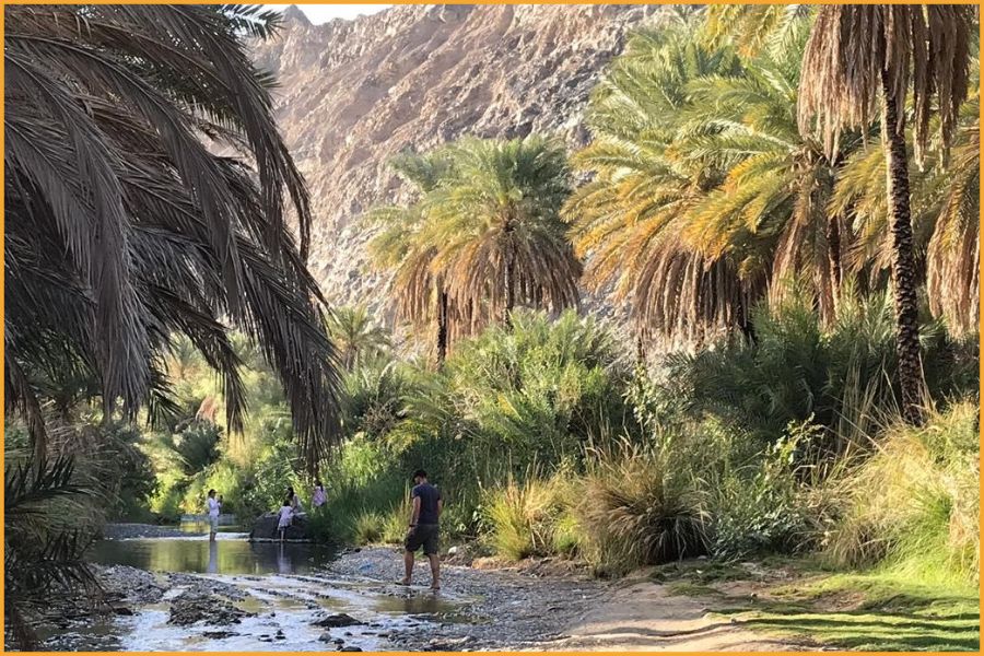 Family exploring a peaceful wadi in Oman surrounded by palm trees and mountains, showing the calm, safe and natural beauty of the Arabian Peninsula.