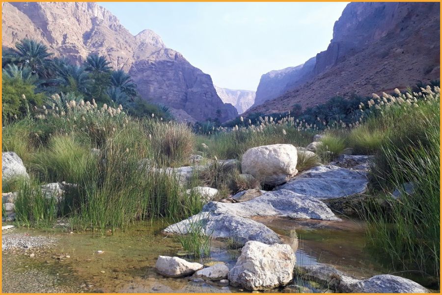 Peaceful wadi in Oman showing why the Arabian Peninsula is considered one of the safest and calmest regions for travellers