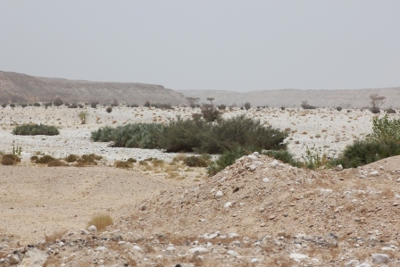 A view across the desert area in Salalah, Oman